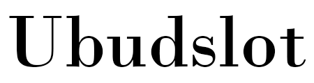 Ubudslot